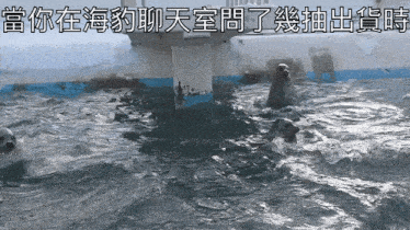 several seals are swimming in a pool with chinese writing on the bottom
