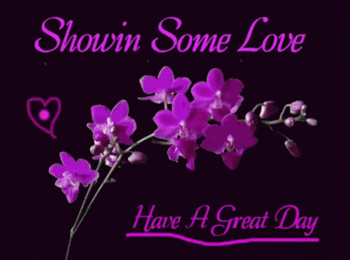 Showing Some Love Have A Great Day GIF - Showing Some Love Have A Great Day Heart GIFs