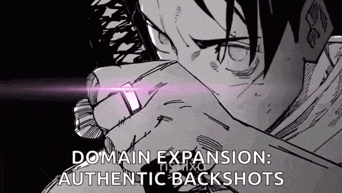 a black and white drawing of a man with a sword in his hand and the words `` domain expansion : authentic backshots '' .
