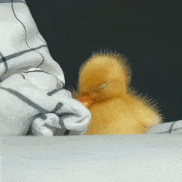 a small yellow duck is sleeping on a bed under a checkered blanket .