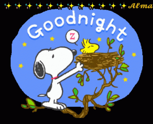 Good Night Snoopy GIF