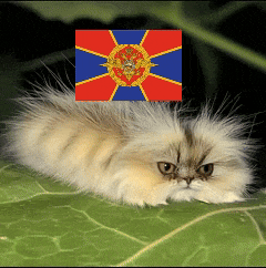 a fluffy cat laying on a green leaf with a flag on top of its head