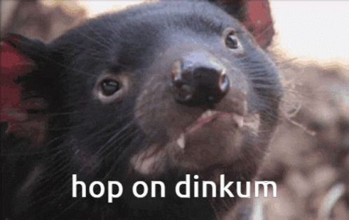 Dinkum Hop On Dinkum GIF - Dinkum Hop On Dinkum Tasmanian Devil GIFs