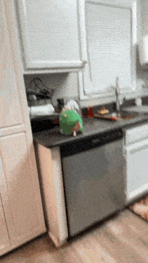 a kitchen with a dishwasher , sink , cabinets and a window .