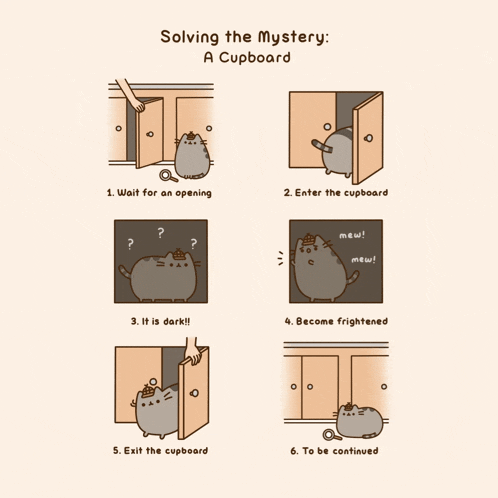 solving the mystery of a cupboard with a cat