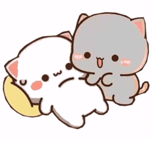 a couple of cats laying next to each other on a pillow .