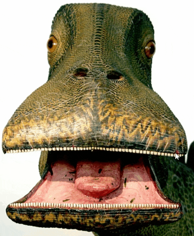 a close up of a dinosaur 's mouth with its tongue hanging out