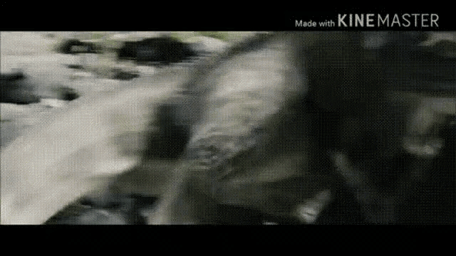 King Kong Fight GIF - King Kong Fight Kong Battles The T Rexes GIFs