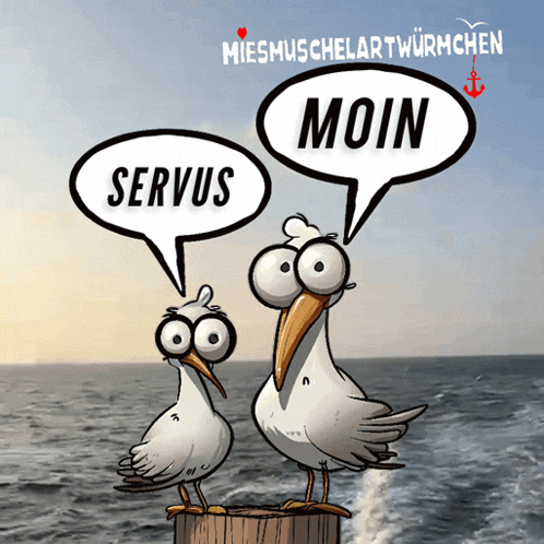 two seagulls are standing next to each other with speech bubbles that say " moin " and " servius "
