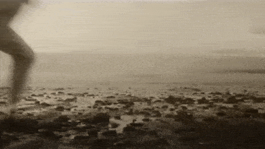 a black and white photo of a woman walking on a rocky beach .