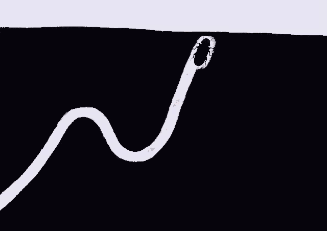 Harry De Houtworm Het Karrenmuseum GIF
