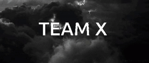 Team X GIF - Team X GIFs