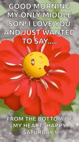 Its Saturday Flower GIF - Its Saturday Flower Smile GIFs