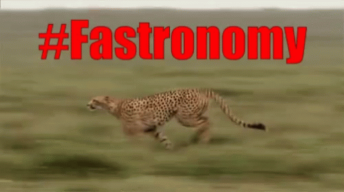 Fastronomy Cheetah GIF - Fastronomy Cheetah Run GIFs