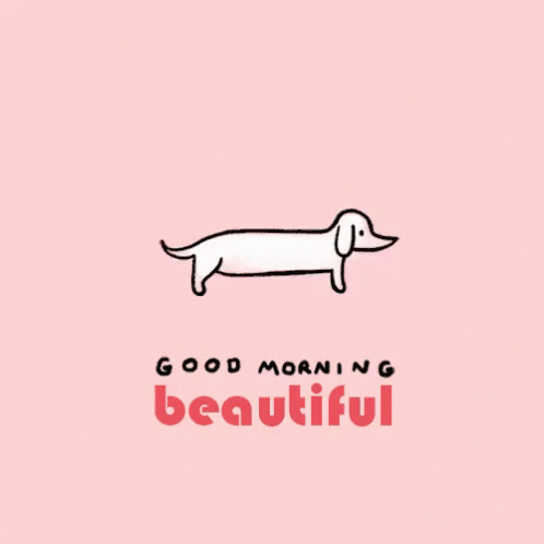 Good Morning Beautiful GIF - Good Morning Beautiful Dog GIFs