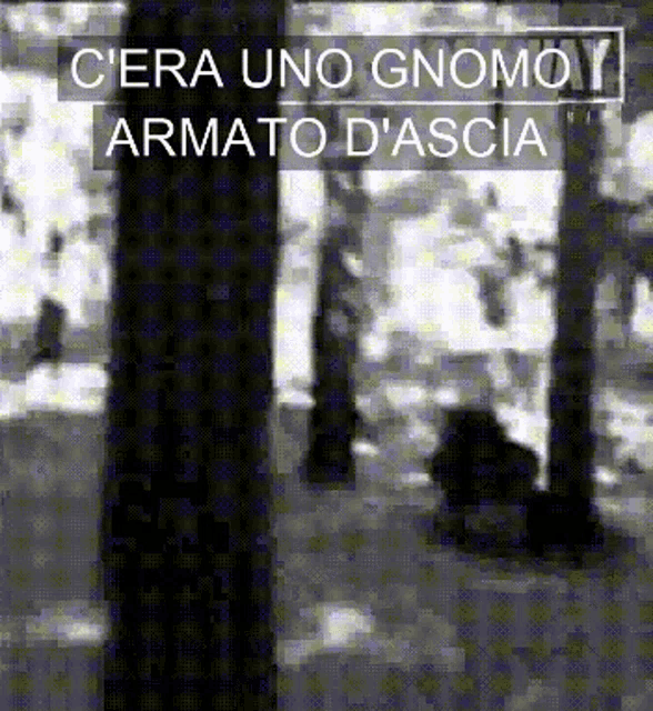 a black and white photo with the words c'era uno gnome armato d'ascia