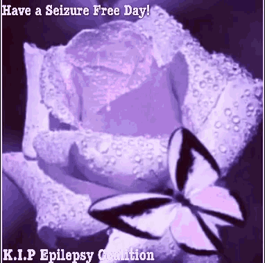 Epilepsy Seizure GIF - Epilepsy Seizure Butterfly GIFs