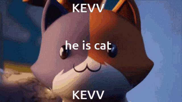 a picture of a cat with the words " he is cat " written on it
