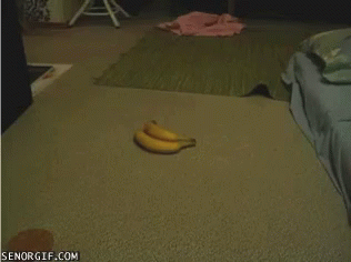 Bananas GIF - Bananas GIFs