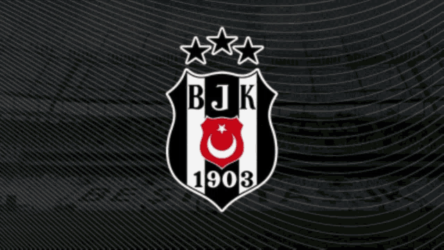 Beşiktaş Bjk GIF - Beşiktaş Bjk Futbol GIFs