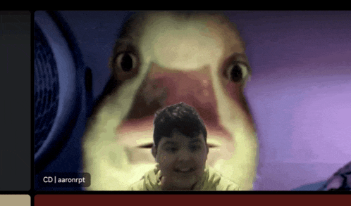 a screenshot of a video call with cd aaronrpt at the bottom