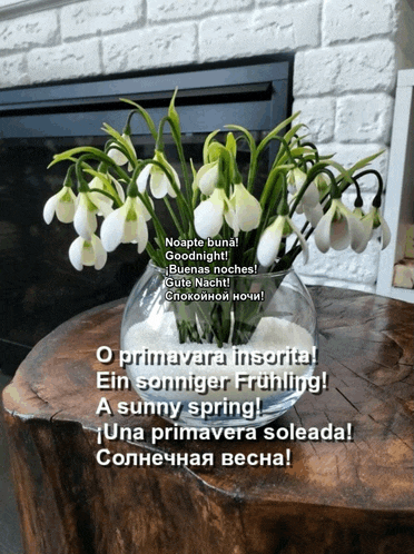 a bouquet of snowdrop flowers in a glass vase on a wooden stump