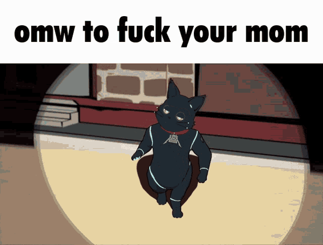 an omw to fuck your mom meme with a black cat