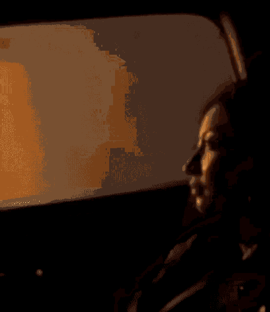 a woman is sitting in the back seat of a car looking out the window at sunset .
