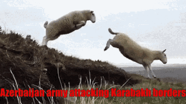 two sheep jumping in the air with the words azerbaijan army attacking karabakh borders written below them