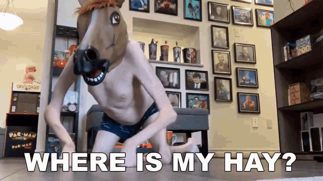 Where Is My Hay Horse GIF - Where Is My Hay Horse Mask GIFs
