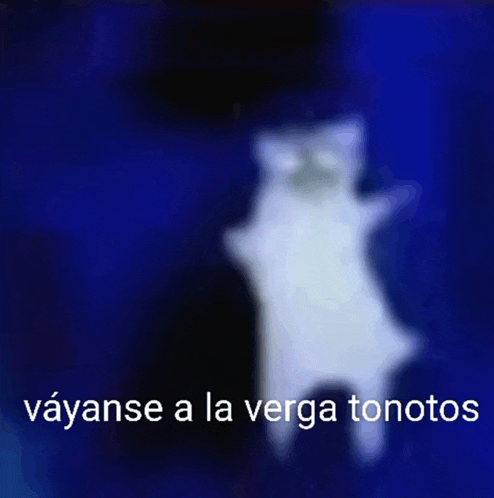 a blurry picture of a cat with the words " vayanse a la verga tonotos " written below it
