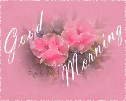 Good Morning Pink GIF - Good Morning Pink Rose GIFs