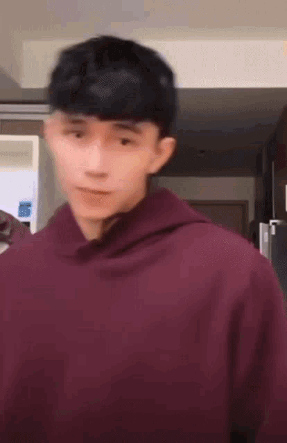 a young man wearing a burgundy hoodie is standing in a room .