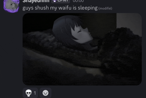a picture of a girl sleeping with the caption guys shush my waifu is sleeping ( modifie )