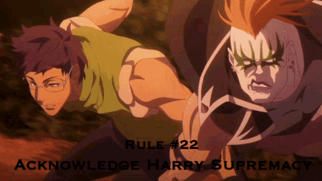 rule # 22 acknowledge harry supremacy is written on the bottom of a poster