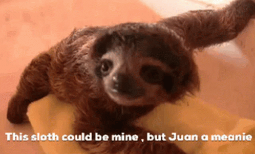 Juan Sloth GIF - Juan Sloth Baby GIFs