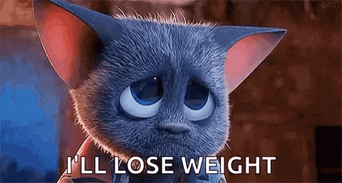 a cartoon cat is saying `` i 'll lose weight '' while looking at the camera .