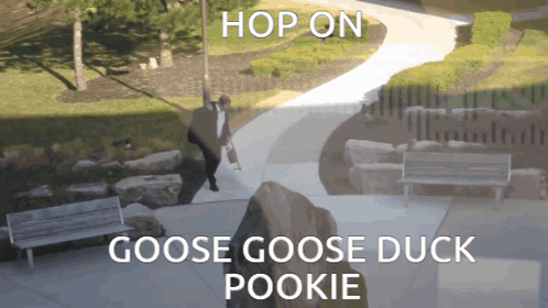 Fight Epic GIF - Fight Epic Goose Goose Duck GIFs