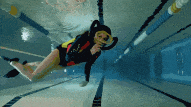 Scuba Girl Scuba GIF - Scuba Girl Scuba Diving GIFs