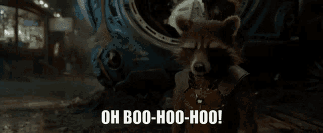 rocket raccoon from guardians of the galaxy says oh boo-hoo-hoo !