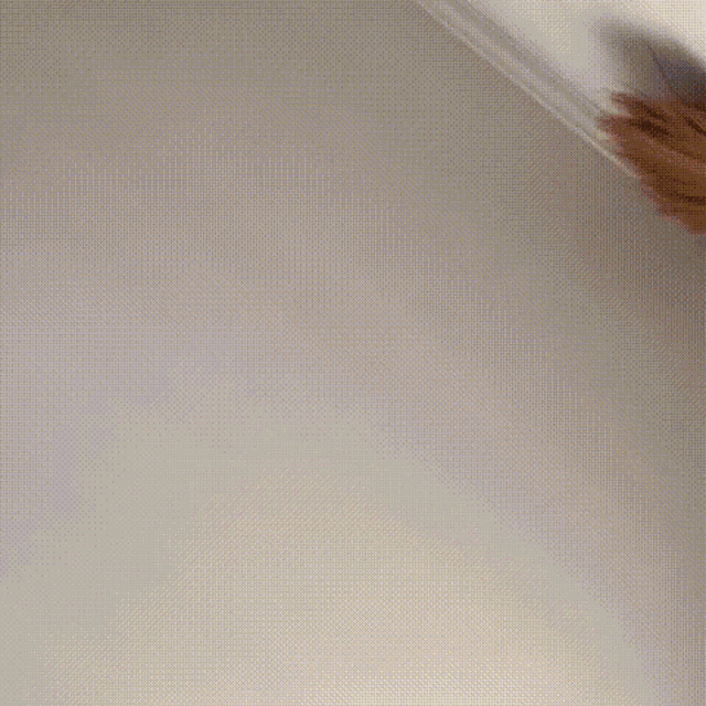 a close up of a person 's head with a white wall in the background .
