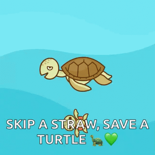 Skip A Straw Save Turtle GIF - Skip A Straw Save Turtle Turtles GIFs