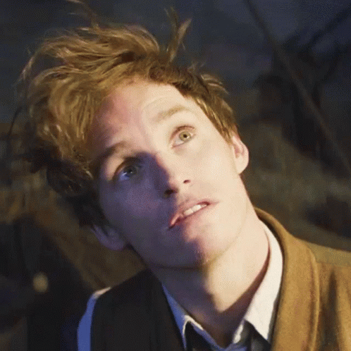 Fantastic Beasts And Where To Find Them Newt Scamander GIF - Fantastic Beasts And Where To Find Them Newt Scamander Eddie Redmayne GIFs