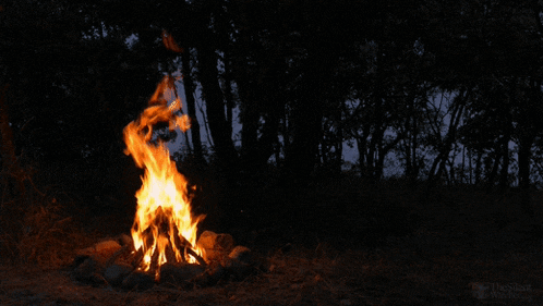 a picture of a fire in the woods was taken by a person named the black