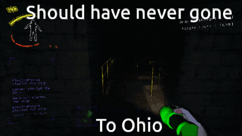 a screenshot of a video game that says " should have never gone to ohio "