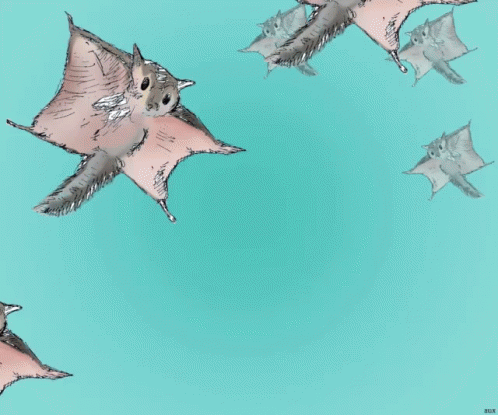 Aux Bat GIF - Aux Bat Flying Bat GIFs
