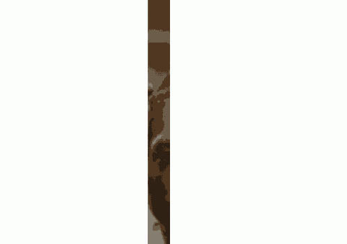 a man with a beard and braids is peeking out from behind a wall .