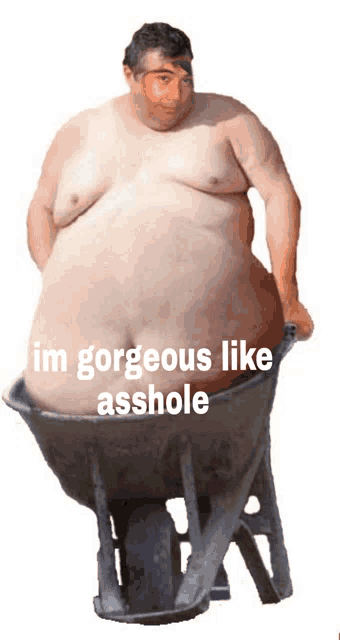 a shirtless man is pushing a wheelbarrow with the words " im gorgeous like asshole " on the bottom