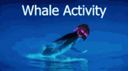 Whale Nft GIF - Whale Nft Sbia GIFs