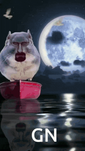 a cat with glasses and a mustache is in a boat in front of a full moon